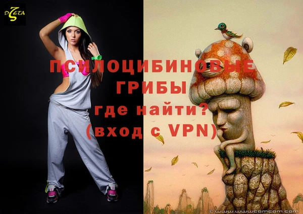 соль ск Сафоново