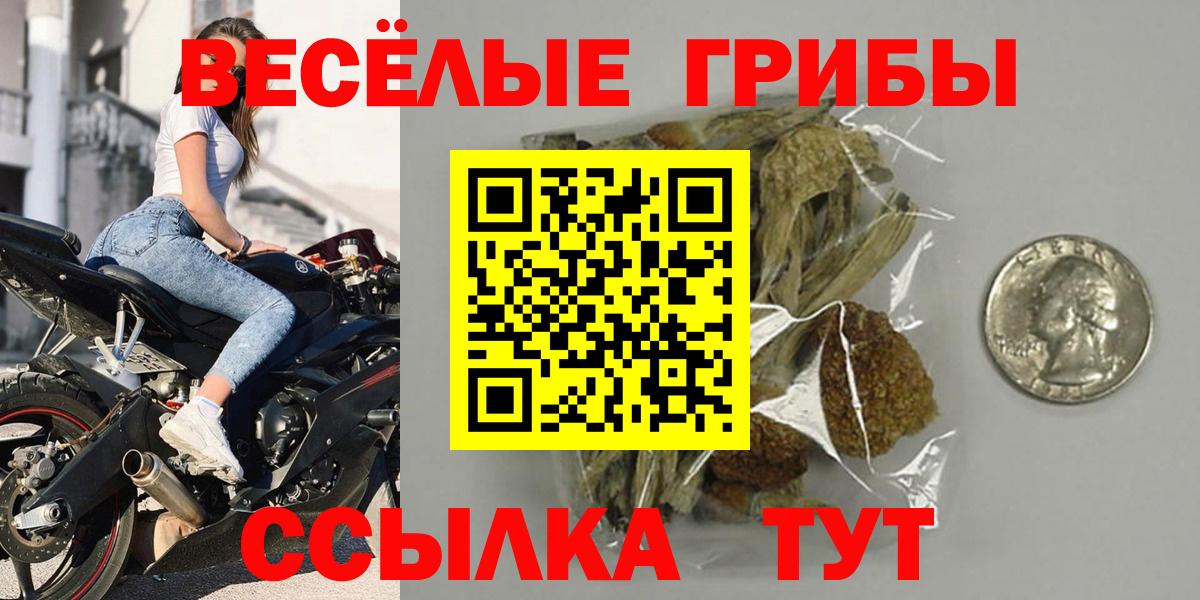 Галлюциногенные грибы MAGIC MUSHROOMS  Вход с VPN  Камышин  Псилоцибиновые грибы прущие грибы 