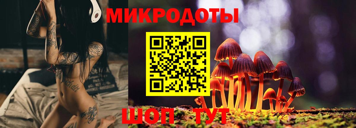 Псилоцибиновые грибы Cubensis Камышин